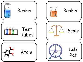 8th Grade Science Flashcards .